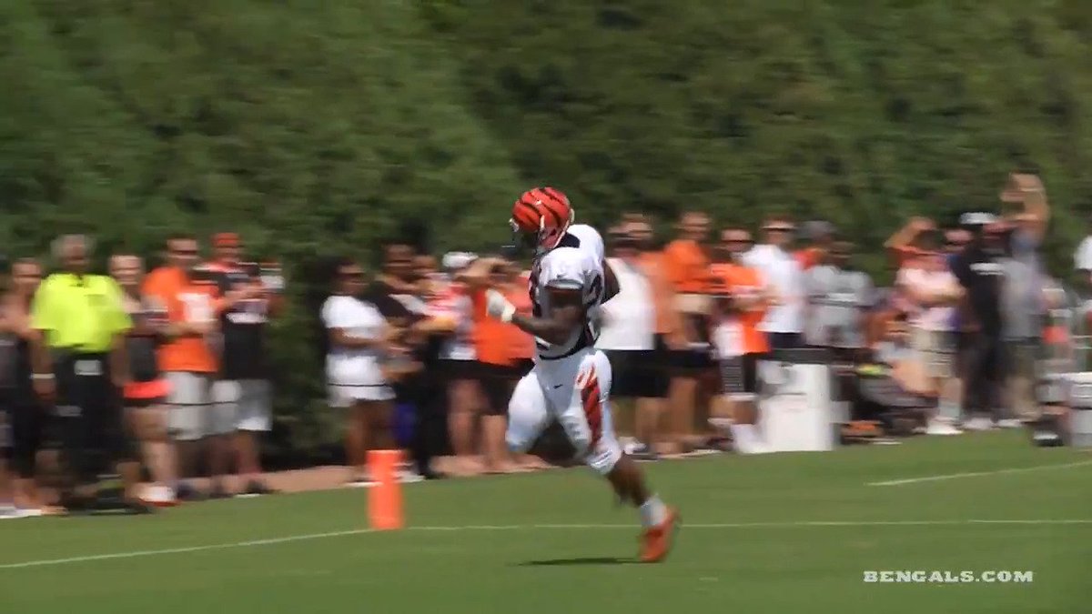 The first day of Training Camp 2017 in full pads! #Bengals50  Here’s what you need to know: https://t.co/hvlt8DVVFI