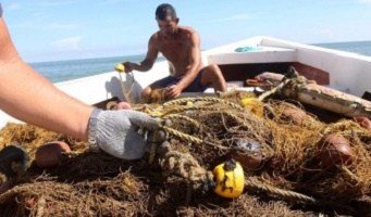 ConstruyenPais's tweet photo. Denuncian presunto derrame de petróleo en Anzoátegui - Un grupo de pescadores denunció ayer la contaminación ... - https://t.co/rkntkjhOqO https://t.co/HptSSDq8wm