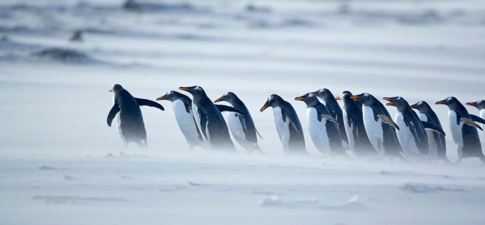 sharemyspace's tweet image. 4 Rare (and Brilliant) Things Smart Leaders Do to Get Respect crwd.fr/2uNPrqi 

 #leadership #mondaymotivation #planning #events