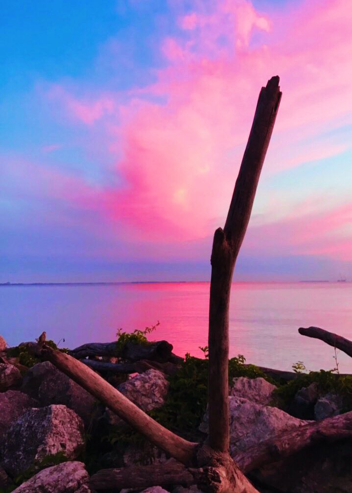 Pink #lakeerielove 💗