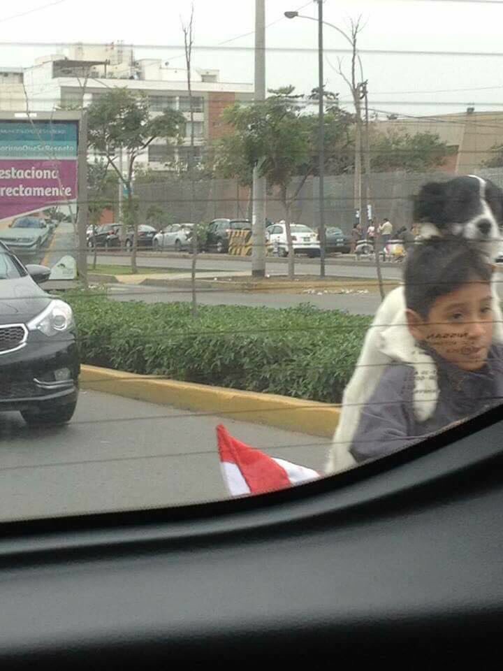 ypumgoey's tweet image. Cuando tienes al amigo indicado, la vida te vale verga. 😍