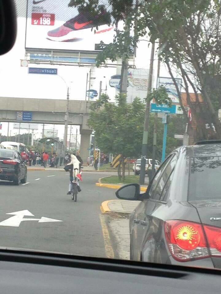 ypumgoey's tweet image. Cuando tienes al amigo indicado, la vida te vale verga. 😍