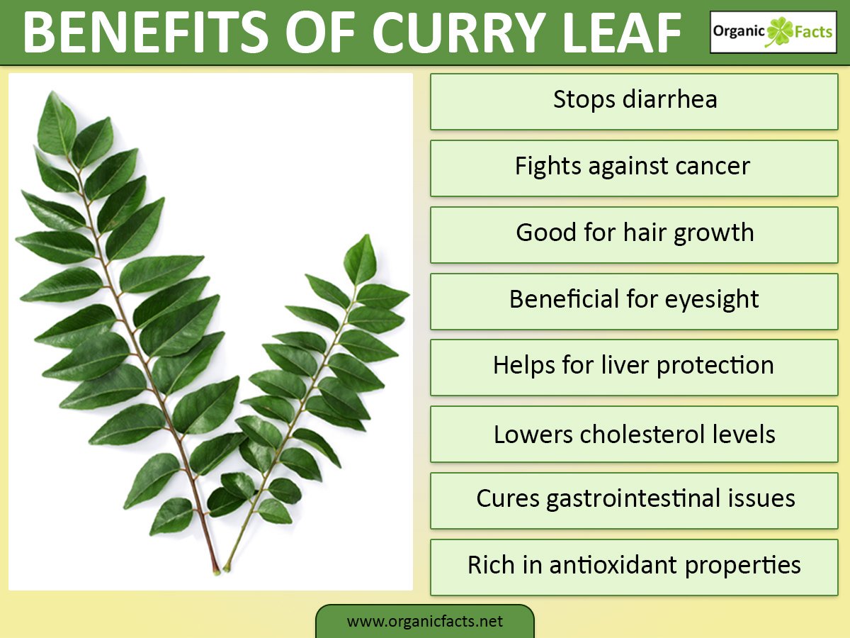 Top 11 #Benefits of #Curry Leaves .