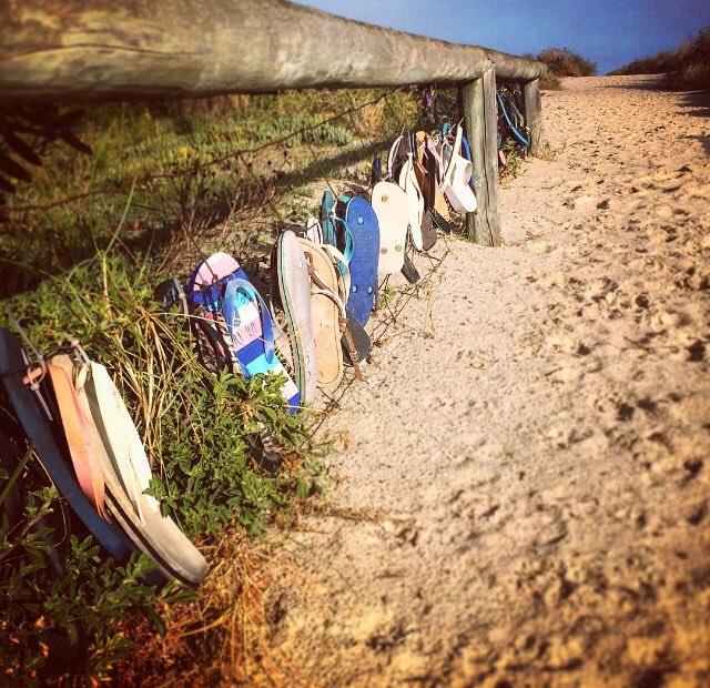 Cr_VTulloch's tweet photo. Anyone missing a thong?
This is fabulous!...spotted this morning on my walk.
@Taperoodunes
#LoveWhereWeLive
#OuterHarborWard https://t.co/N9fggR5b9G