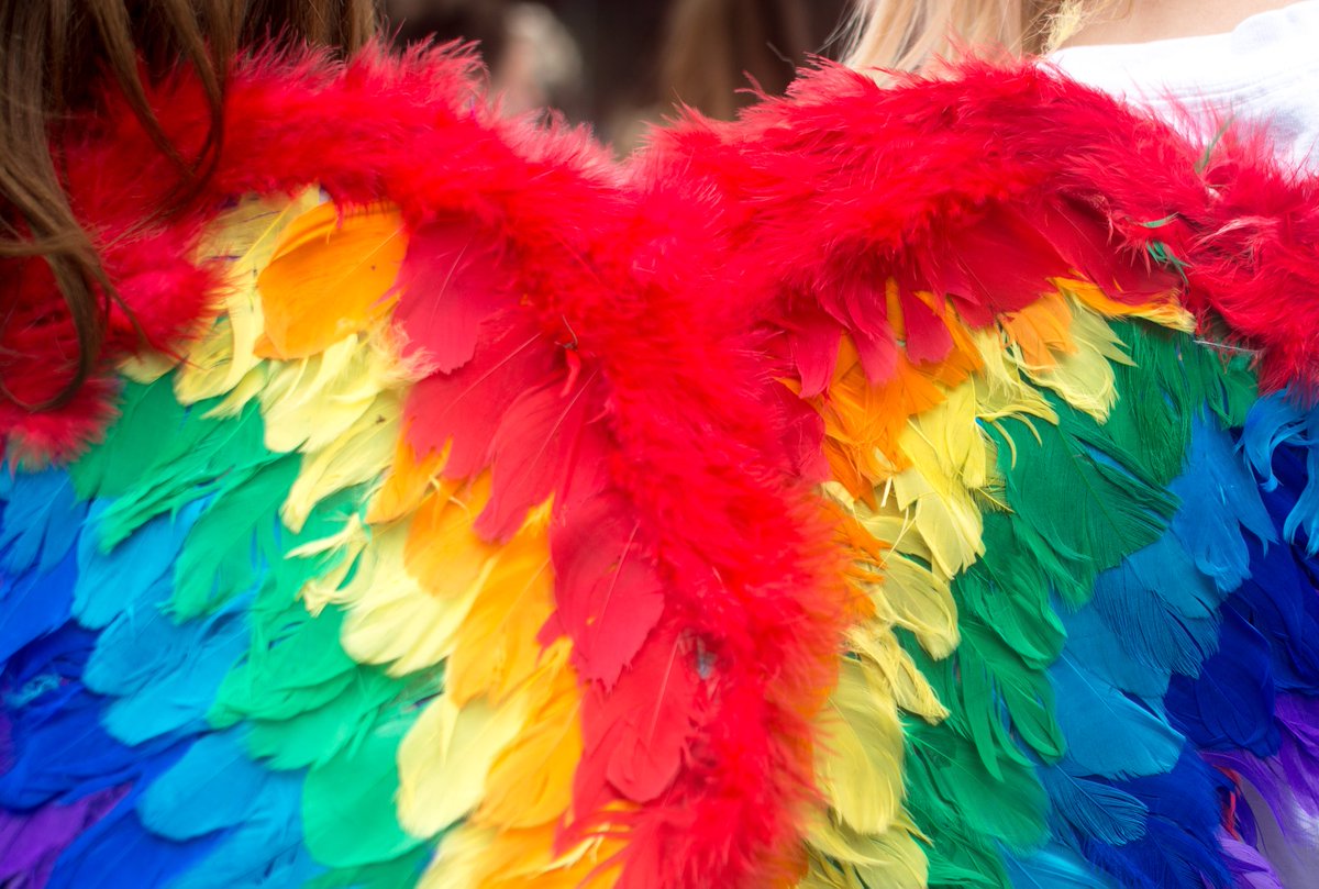angrybalddad's tweet photo. My best pics from #LiverpoolPride2017 #liverpoolpride #Pride2017 https://t.co/eY8URoHc0n