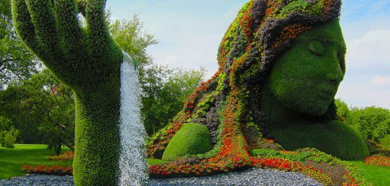 doc_dahl's tweet image. #StewardsofEarth