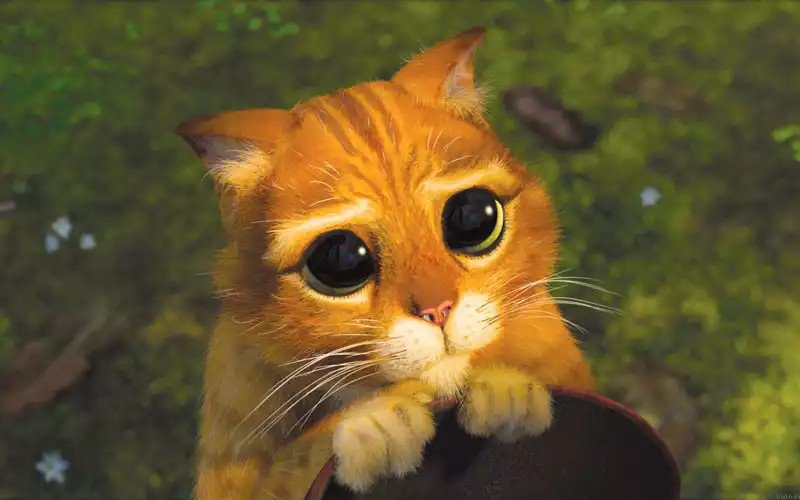 JujuhOliveira5's tweet image. #JaQuisMuito

Por favor vc que me deu unfollow me avise pra eu retribuir 😩...

Precisamos retribuir os unfollows 😂😂😂😂