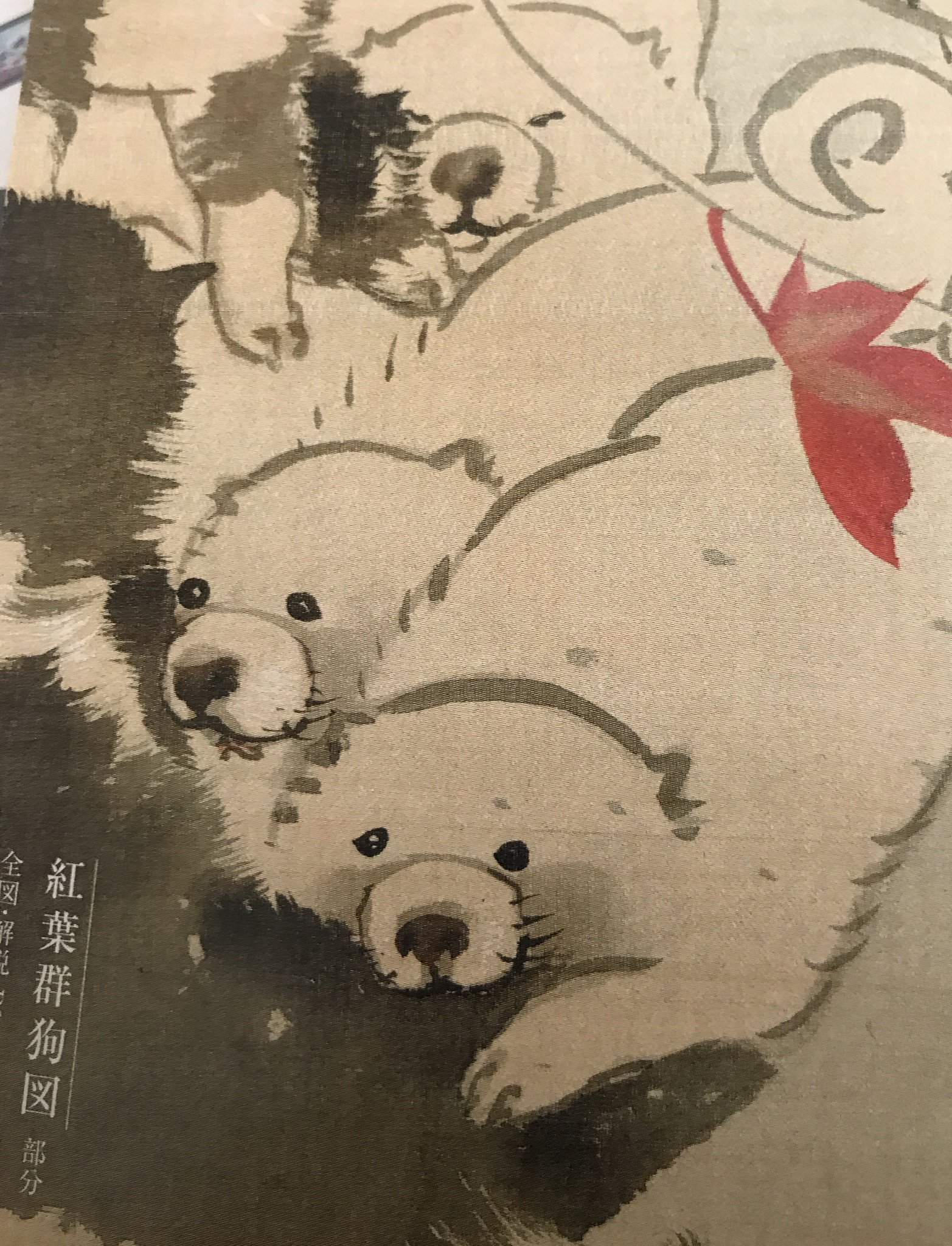 とんぼの本 新潮社 各所で大人気の芦雪の犬ですが たしかに本当に悶絶するほど異様にかわいいのです かわいさは応挙先生より 芦雪に一票です こちらは かわいい こわい おもしろい 長沢芦雪 で本邦初公開の 紅葉 とんぼの本 新潮社 各所で大人気の芦雪の犬ですが たしかに本当に悶絶するほど異様にかわいいのです かわいさは応挙先生より 芦雪に一票です こちらは かわいい こわい おもしろい 長沢芦雪 で本邦初公開の 紅葉