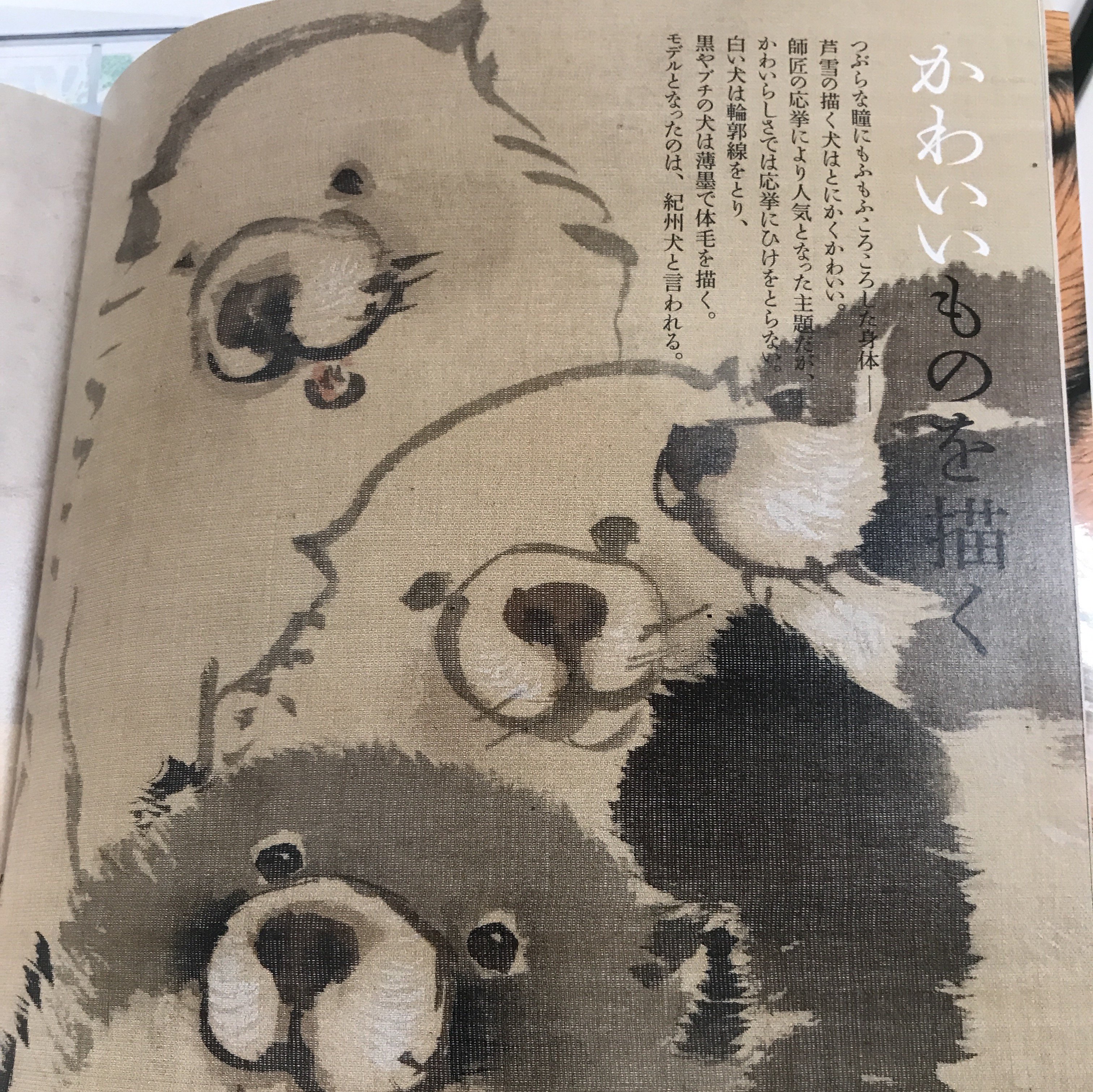 とんぼの本 新潮社 各所で大人気の芦雪の犬ですが たしかに本当に悶絶するほど異様にかわいいのです かわいさは応挙先生より 芦雪に一票です こちらは かわいい こわい おもしろい 長沢芦雪 で本邦初公開の 紅葉群狗図 よりモフモフ T Co