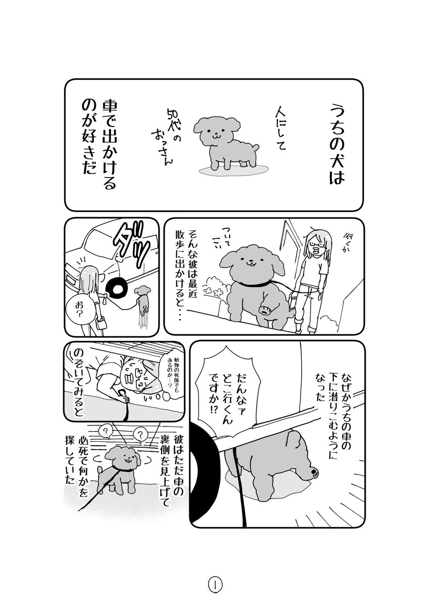 うちの犬が散歩中に起こしていたミステリーが解決した。

お前…賢いのか…アホなのか… 