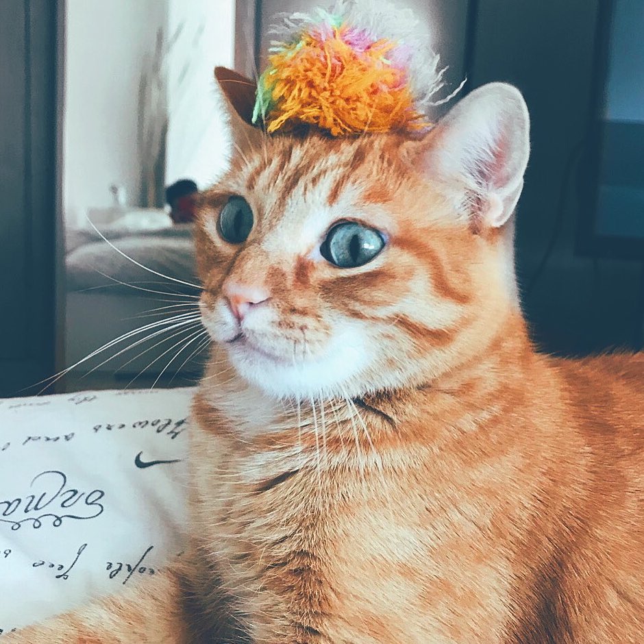 #NewProfilePic