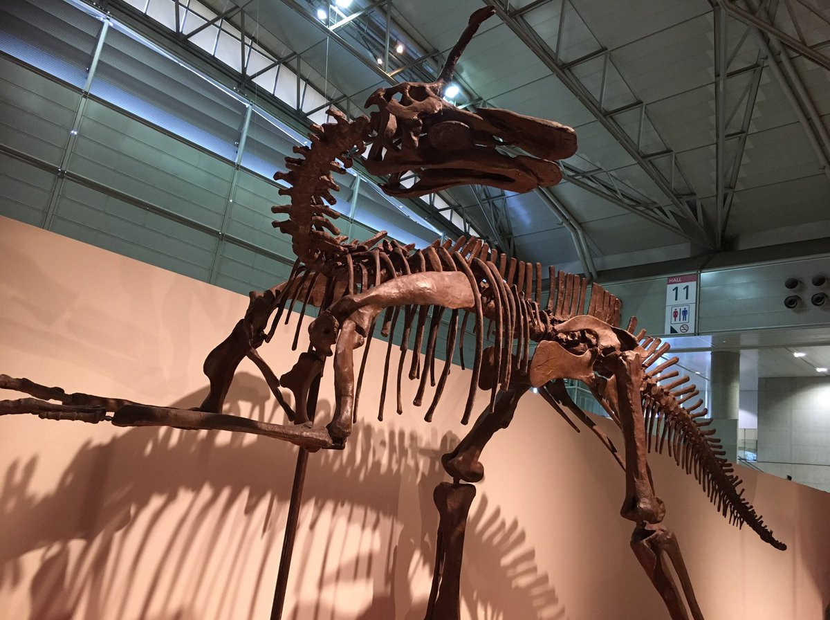 ギガ恐竜展17