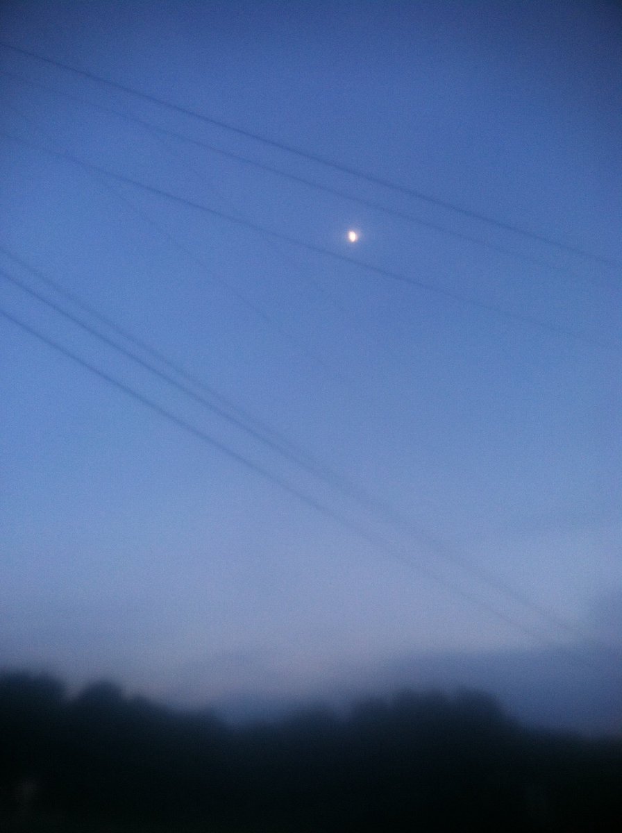 codysfweak_'s tweet image. Tonight is so beautiful. Thankful for life.