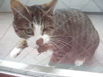 ItsPestControl's tweet image. Always Reliable Pest Control - owl.li/lINt30dYv2k