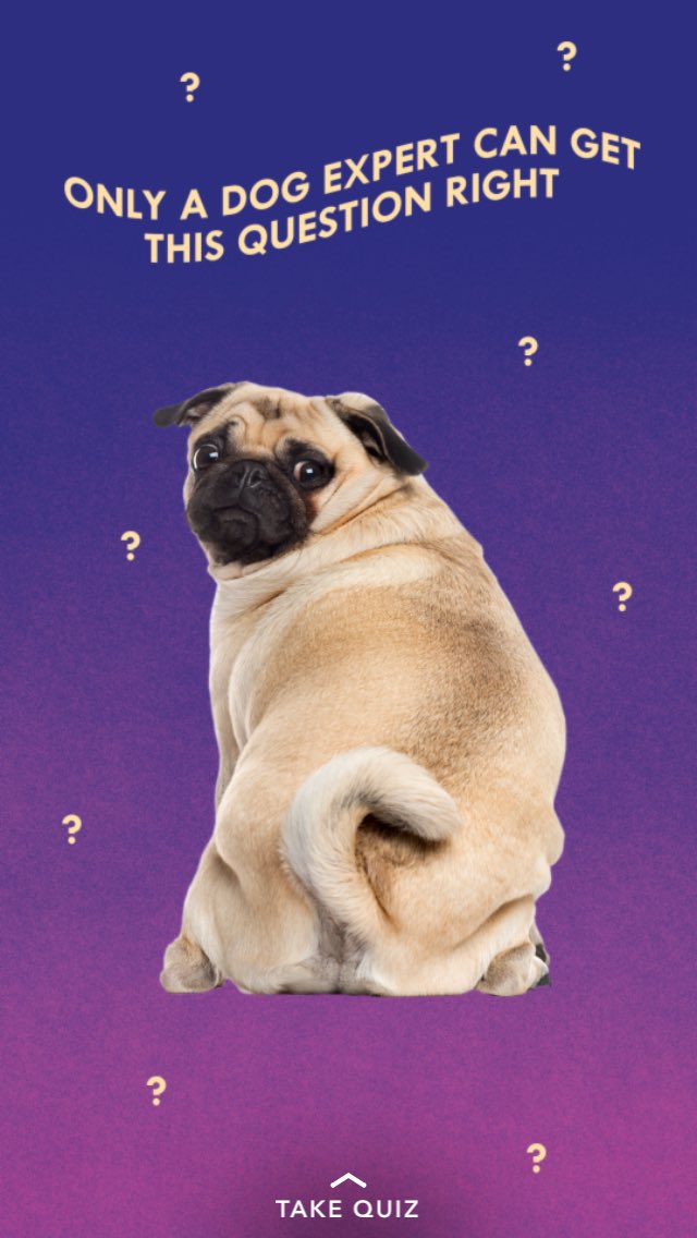 Andreab5123's tweet photo. But they are all good boys. I'm not impressed @BuzzFeed snap story https://t.co/VR8O8u6OZg