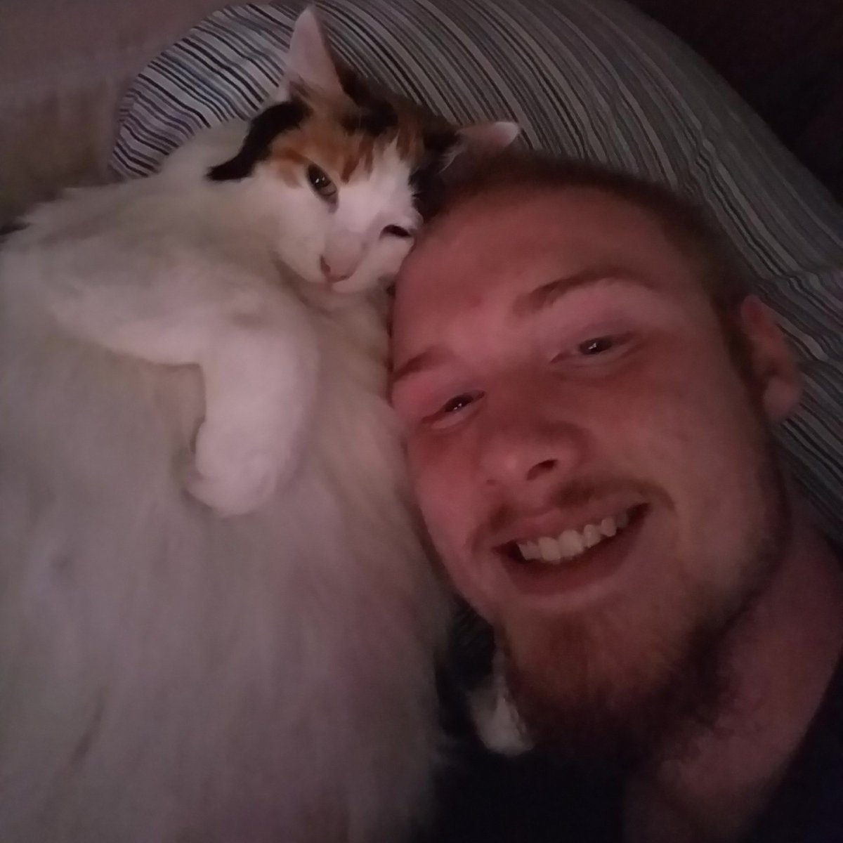 GingerAvenger19's tweet photo. #NewProfilePic https://t.co/08c3mdobup