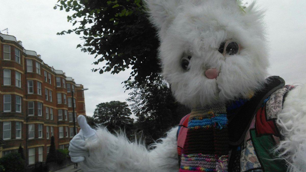 Spike Mclarrity On Twitter 1st Of The Month White Rabbit 7am