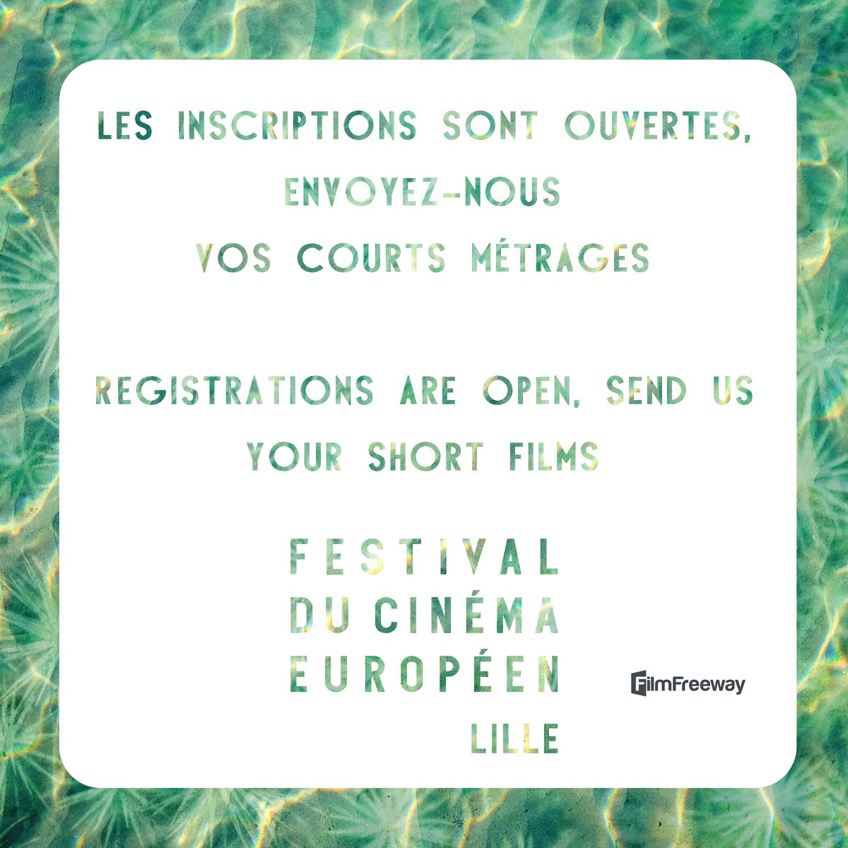 Lille EuroFilmFest tweet media