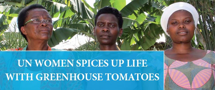 ingobyi's tweet image. Greenhouses have proven that rural women can successfully invest in modern farming. 
ingobyi-mag.com/981-2/