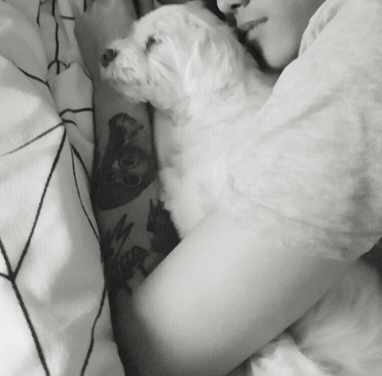 DOMKDN96's tweet image. Sleep with my baby.