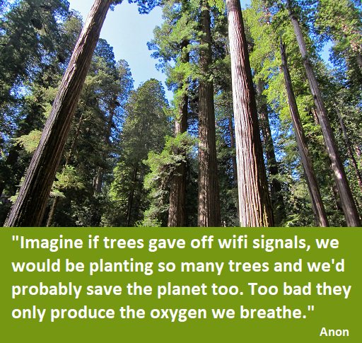 "Imagine if trees gave off wifi signals, we would be planting so many trees..Too bad they only produce the oxygen we breathe." #environment