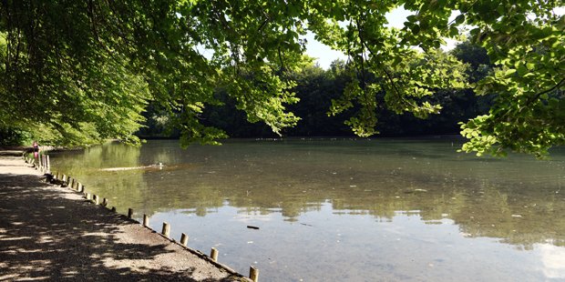 stadtaugsburg's tweet photo. Der Stempflesee wird saniert: Das Erscheinungsbild mit der hölzernen Einfassung und dem Laubengang bleibt erhalten.
https://t.co/rPdJETMzFH https://t.co/3JWRtzYnZA