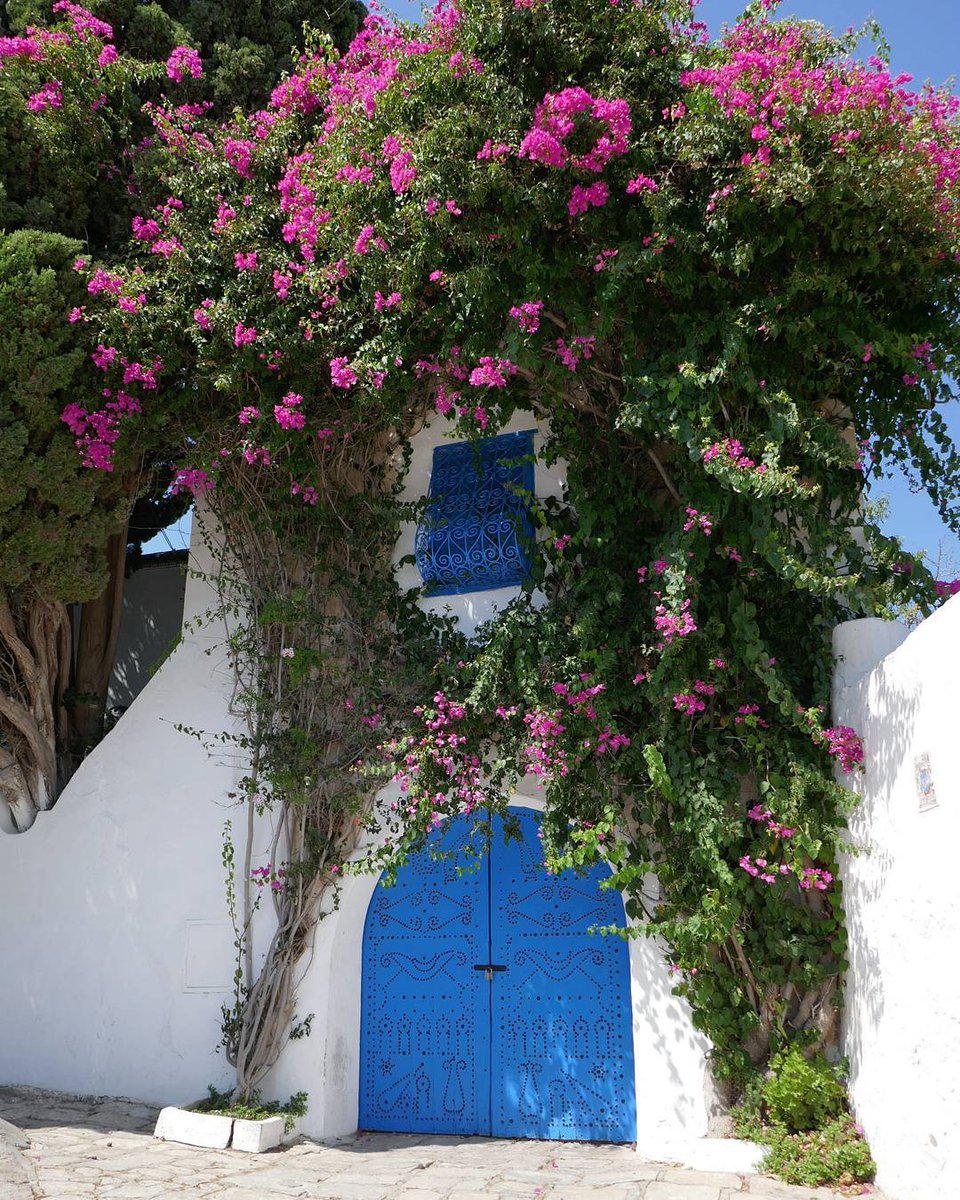 Euuff's tweet photo. My favorite song:
#SidiBouSaid by #Tunisia. https://t.co/nHkOQUQQXT