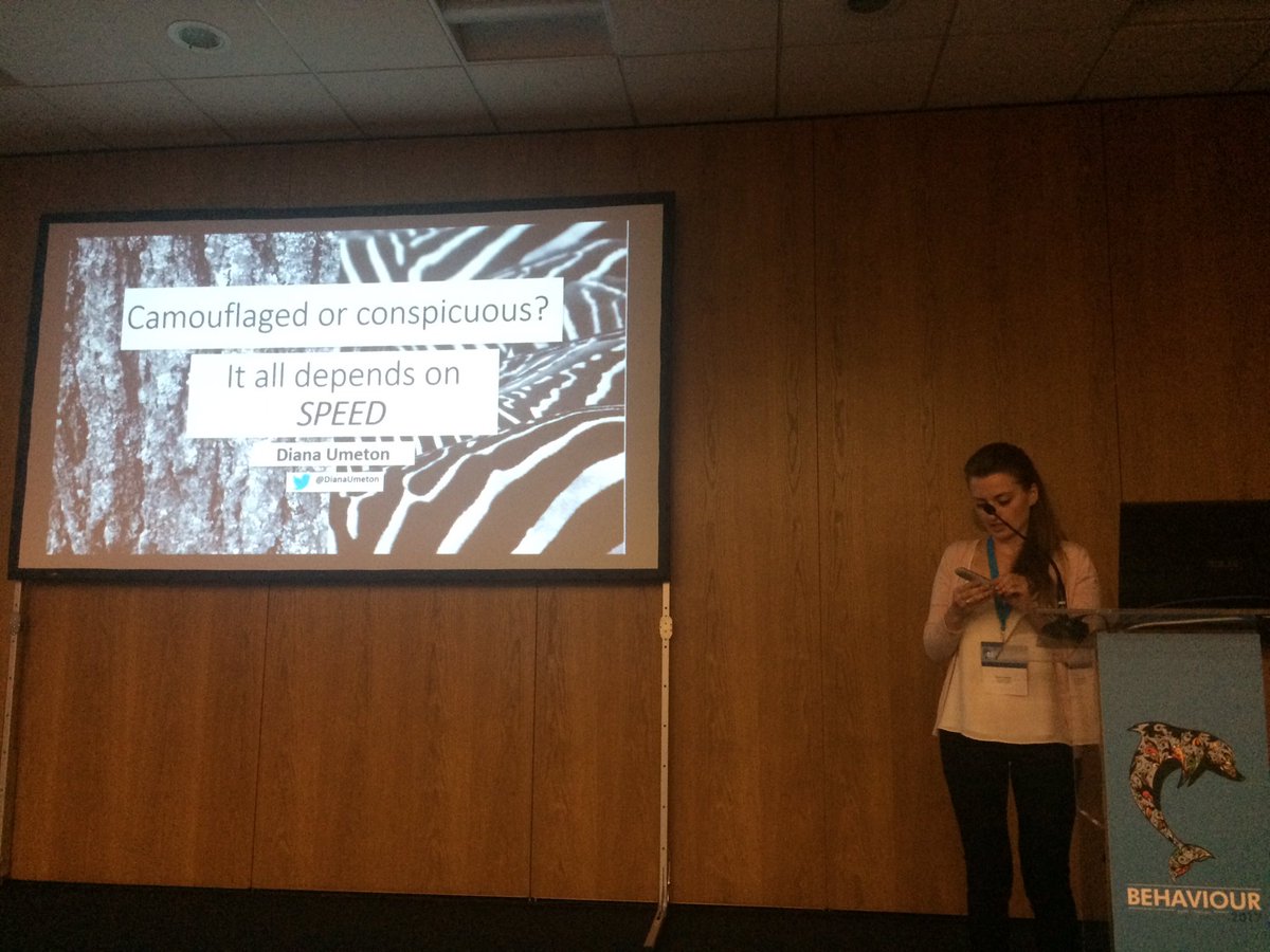 asab_org's tweet photo. Diana Umeton from @BehavEvol tells us how speed & #flickerfusion affects camouflage & conspicuousness against mantids #Behaviour2017 https://t.co/qClv6DpHme