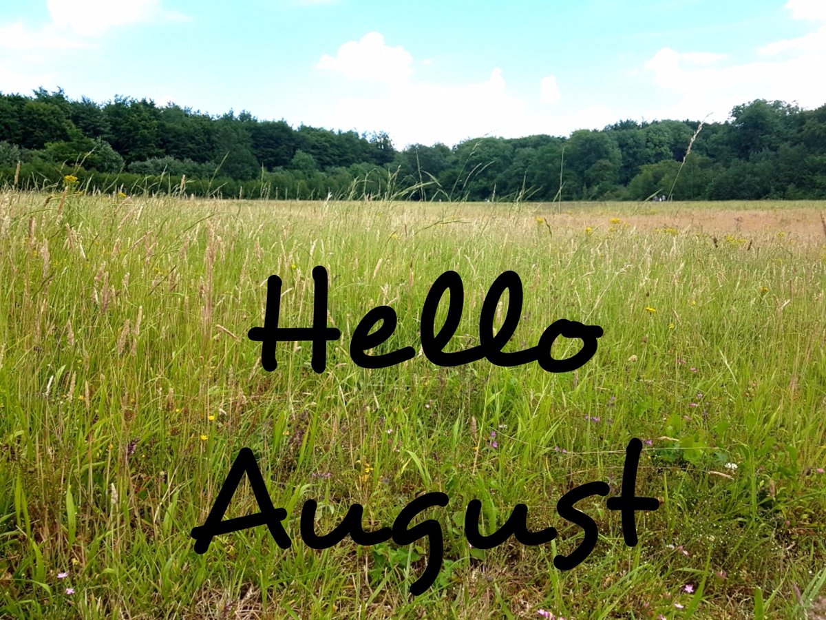 LocalHandbooks's tweet photo. Pinch, punch, first of the month! 
#HelloAugust #pinchpunch 
#SupportLocal #AlwaysLocal https://t.co/PCR86FBTUU