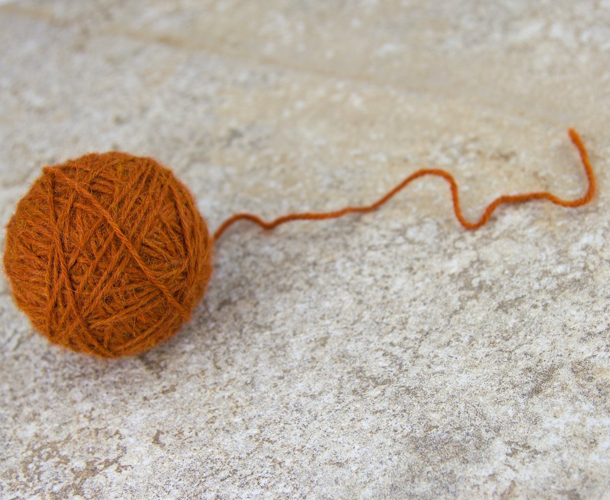 worldofwool tweet picture