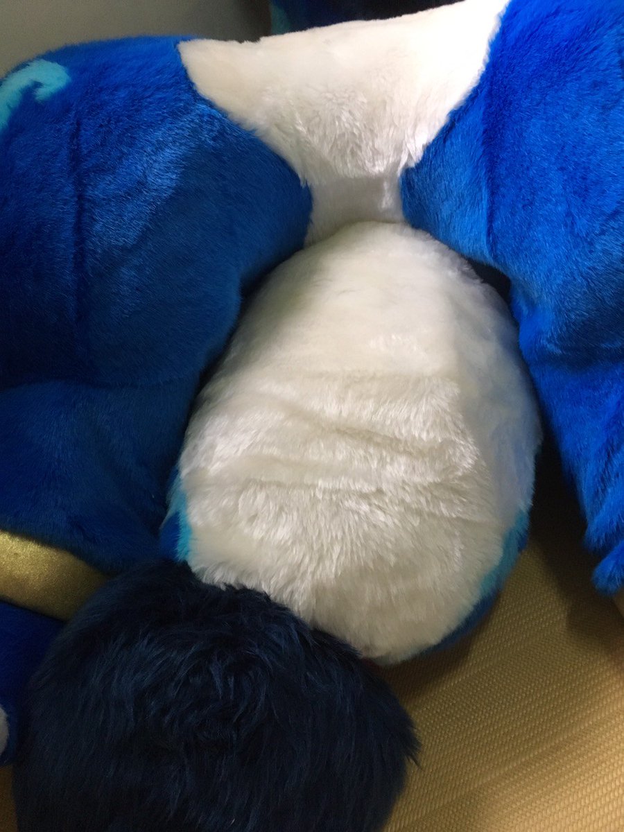 hiruffy's tweet photo. 蒼波くんは家に来た
ｷﾀｷﾀｷﾀ━━(ﾟ∀ﾟ≡(ﾟ∀ﾟ≡ﾟ∀ﾟ)≡ﾟ∀ﾟ)━!! https://t.co/Kh61nBWgEb
