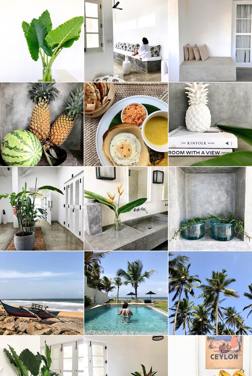 Travel more 🌿 #palm #travelpics  #traveldiaries  #lifewelltravelled #wanderlusting #wanderlust #travel #arabellaonboossa