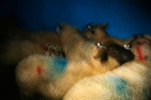 What's On This Week?
WEEKEND PLANS
by Nancy Goldin 
<a href="/IMMAIreland/">IMMA</a>
bit.ly/2uMymgv
#exhibition #photography 
#nangoldin #Dublin