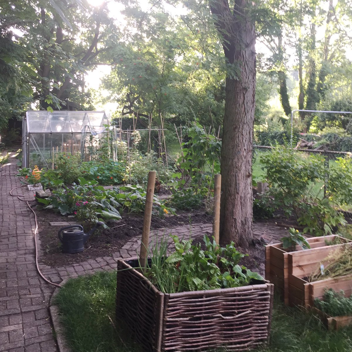 Het is weer eens een fijne ochtend in onze tuin...