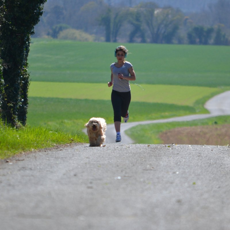 WePetsitty® tweet media