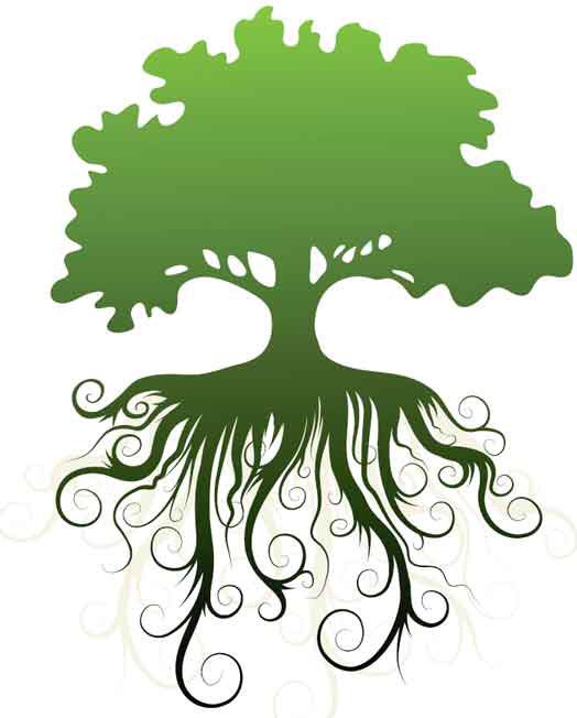 Our #summer activities start this week inc an adult workshop on #mindfulness 5/8 @TalmudBah #lewisham #nature facebook.com/events/5170930…