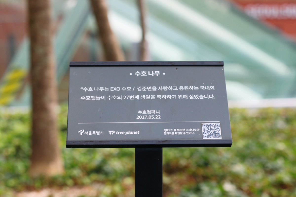 #폭염주의보 
수호나무야, 서울로를 더위로부터 수호해줘!👼
#SUHO #수호 #김준면 #EXO #수호나무 #SUHOTREE #트리플래닛 #treeplanet #스타반려나무 #서울로 #seoullo7017 #startree