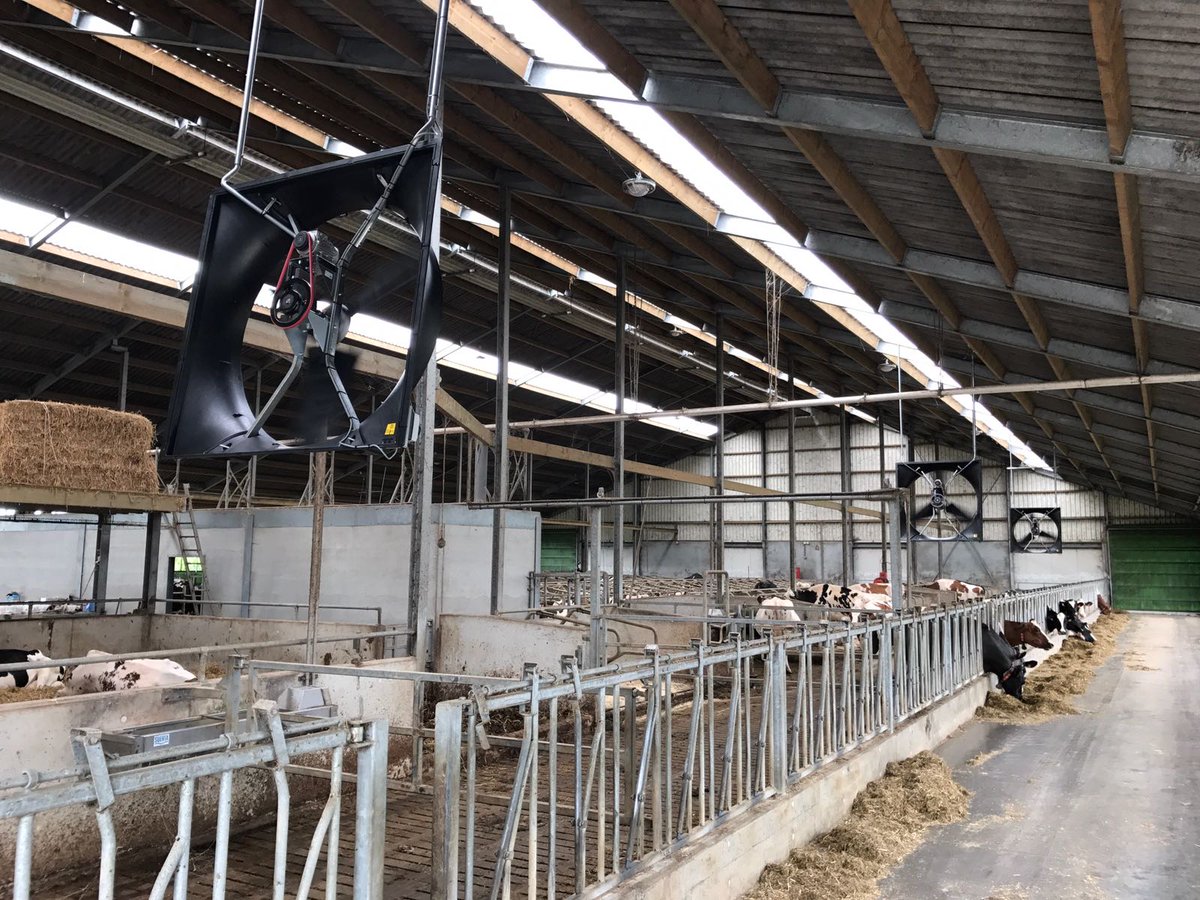 opticowzone's tweet photo. Dirk Stappers te Kinrooi koos in 2013 Opti-Cow Ledverlichting &amp; klimaatcomputer. Nu werd het tijd voor ventilatoren. Dirk👱blij, koeien🐮blij! https://t.co/ZAxxqv5Dja