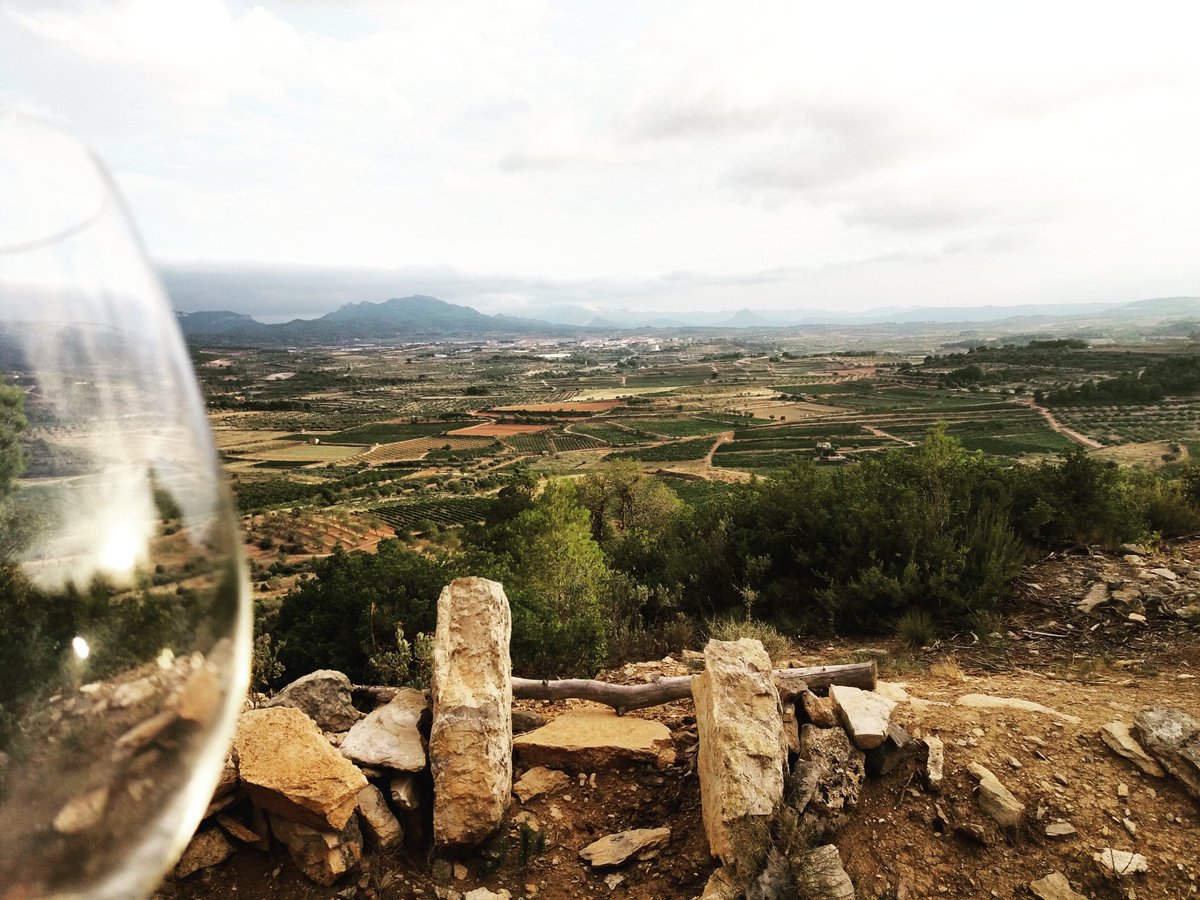 CellerFrisach's tweet photo. Al néixer i créixer per aquí
a la terra de jabalins i caus
vi d'origen terraltí..Aroma sensual! #CellerFrisach #sócautòcton #GraFort https://t.co/zFiUl5Gef2