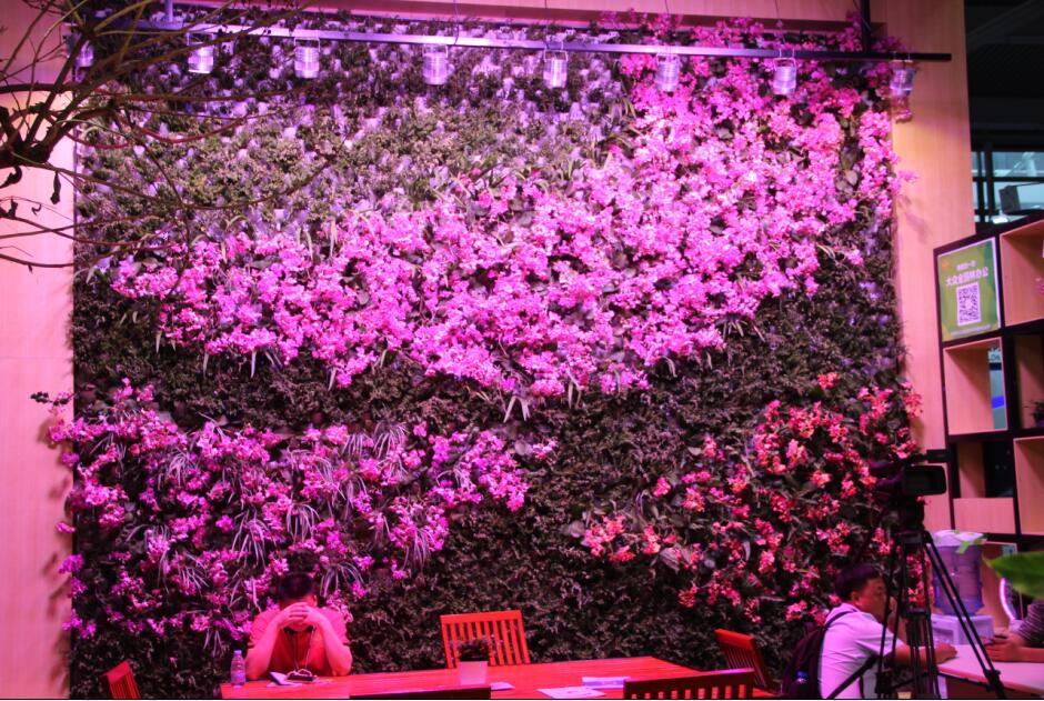 LEDGrowShop tweet picture