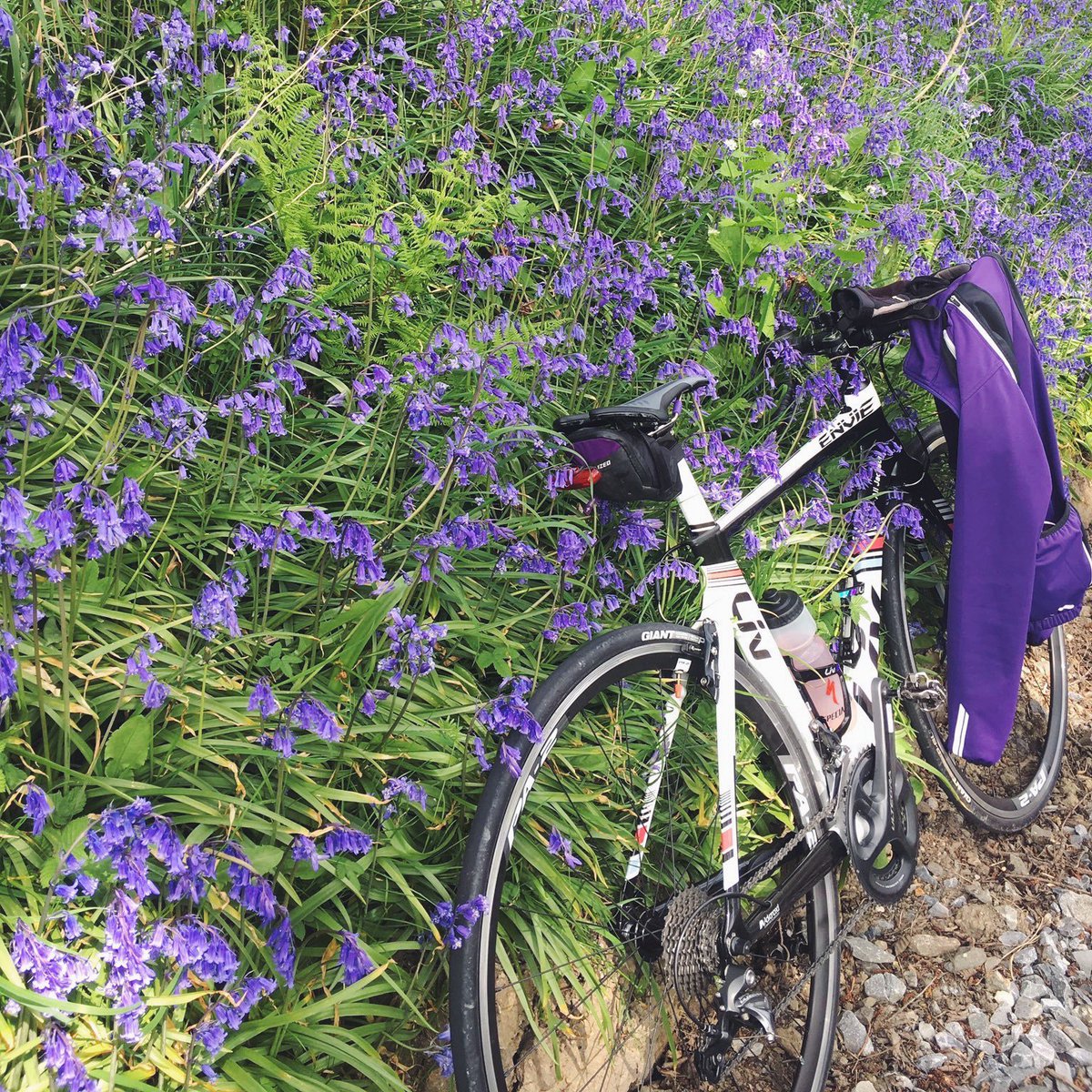 Choose the #LivEnvie for short-distance triathlons and everyday training on the road. Available here: bit.ly/LIVENVIE1📸 <a href="/Peachynesss/">CantankerousMe💍</a>