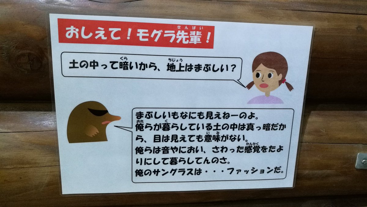 あいろん Youtube12 4万人感謝 On Twitter モグラって日光に当たると死ぬの モグラ先輩 死ぬわけねーだろ ってか土ん中で死んだら見えねーだろ 死んでんだよ 土の中でもよ