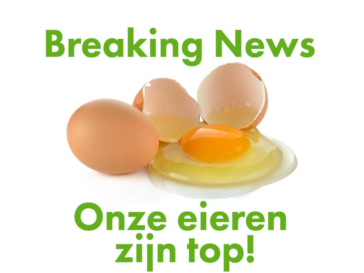 Onze #eieren  zijn gezond! De kippen van Lekker'nei krijgen lekkere en gezonde streekproducten te eten en dat proef je terug in Lekker'nei!