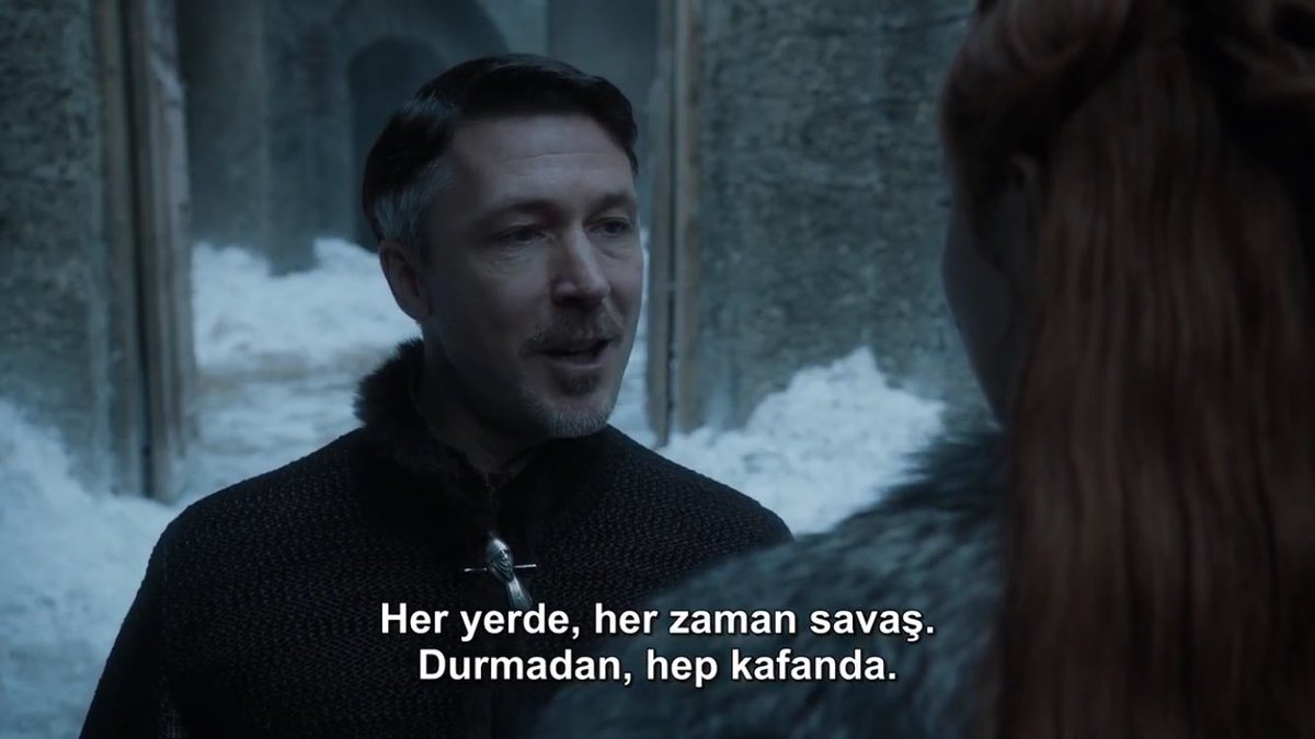 sen minnoş bir ev kedisi değilsin sansa