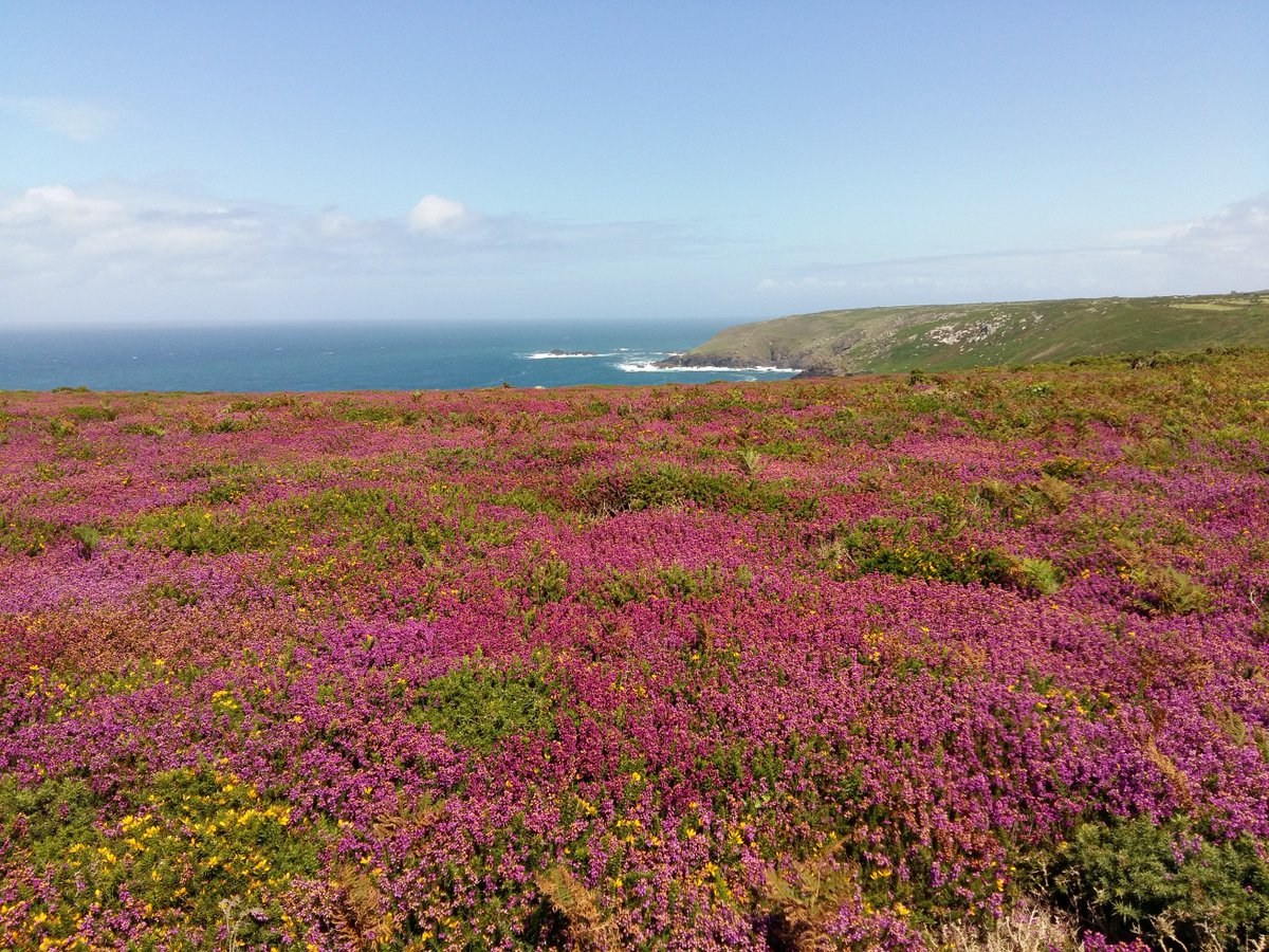 NTCornwallCoast tweet picture
