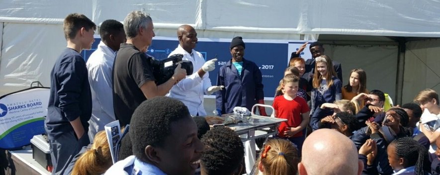 PlasticsSA's tweet photo. #PlasticsSA and Sasol educating learners on the benefits of taking responsibility for our #environment at the 2017 #SasolTechnoX, in Secunda https://t.co/6AyGQyuJUu