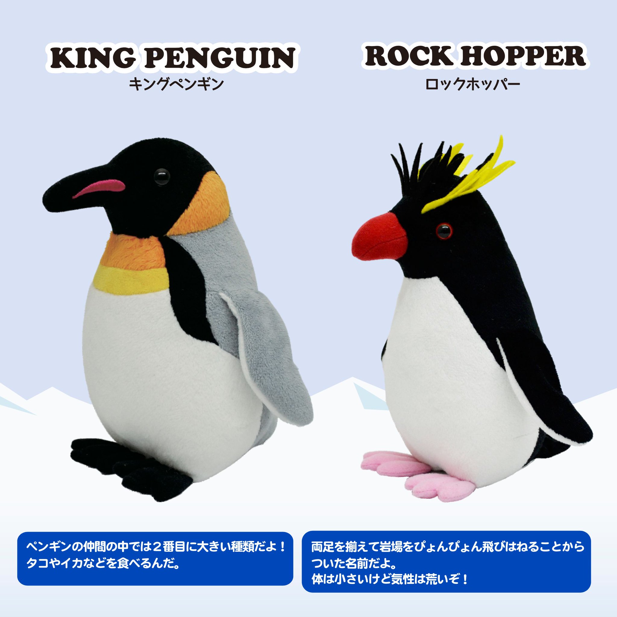 株式会社aqua公式 No Twitter リアルでかわいいキングペンギンとロックホッパーのぬいぐるみです ペンギンコレクションは全部で6種類 ぬいぐるみ ペンギン 八景島シーパラダイス シーパラ 水族館 いいね かわいい