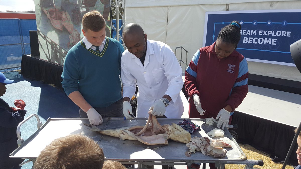 Plastic_Guy's tweet photo. Join Aqua Amazing at #SasolTechnoX WOW Show with the amazing Shark dissection,  educating students on protecting our enviroment @PlasticsSA https://t.co/yCmbPqQm86