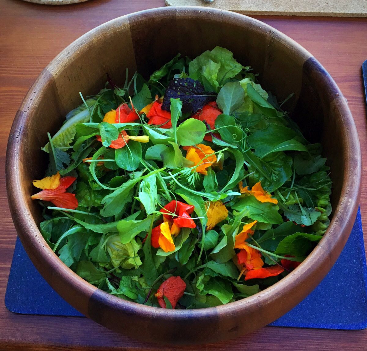We used the seed thinnings in our salad @ArunKapilspice Carrot, Beetroot, Rocket, Mixed Leaves, Nasturtiums, Mustard. @darinaallen inspired.