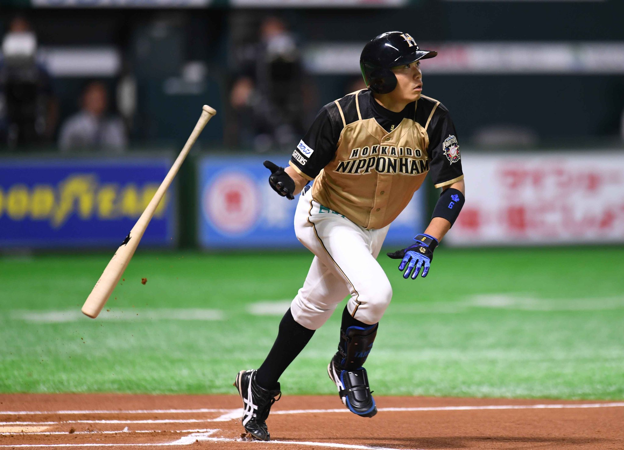 北海道日本ハムファイターズ グッズ【公式】 on X: 